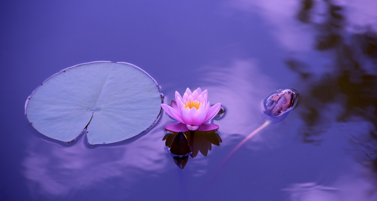 Zen meditáció: stresszmentesítő és javítja a koncentrációt