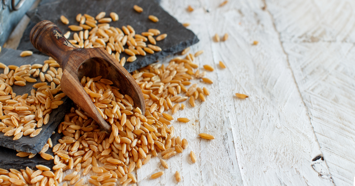 Kamut - Az antik világ gabonája a korszerű táplálkozásban