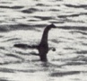 A Loch Ness-i szörny dokumentumfilmben szerepel