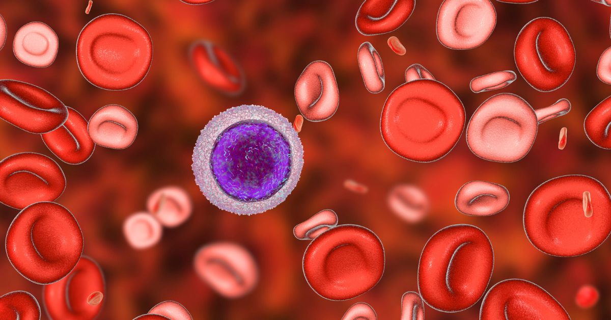 Hemoglobinképződés a vérben