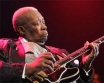 Tündéri nagy mackó -  B.B. King a Sportarénában