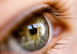 Bionikus szem adhatja vissza a vakok látását