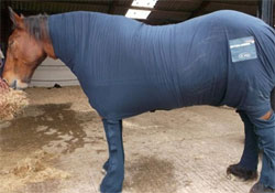 Pizsamát kapott egy ló Nagy-Britanniában