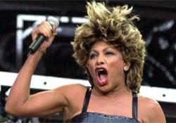 Tina Turner amerikai poprocksztár kiváló madárijesztőnek.