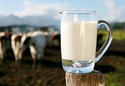Gondolatok a tejről és a tejtermékekről