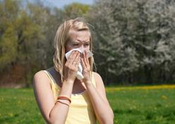 Az 5 legütősebb légúttisztító táplálék allergia ellen