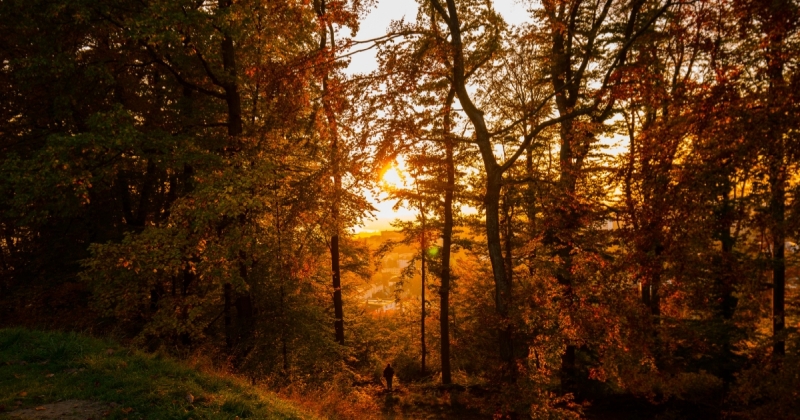 Őszi kirándulóhelyek Magyarországon, ahol feltölt a természet